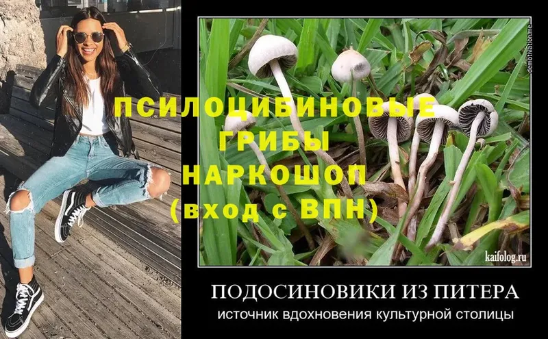 Галлюциногенные грибы MAGIC MUSHROOMS  Касимов 